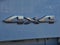 2024 RAM 2500 Tradesman Regular Cab 4x4 8' Box
