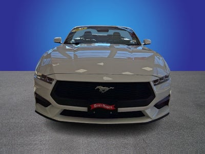 2025 Ford Mustang EcoBoost Premium